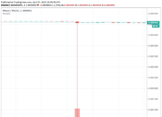 WAVES Price Drops to Almost Zero Sats on Binance for One Minute WAVES Price Drops to Almost Zero Sats on Binance for One Minute