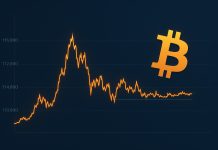Bitcoin Consolidates Near 114k As Traders Stay Cautious Ahead Of FOMC Meeting Bitcoin