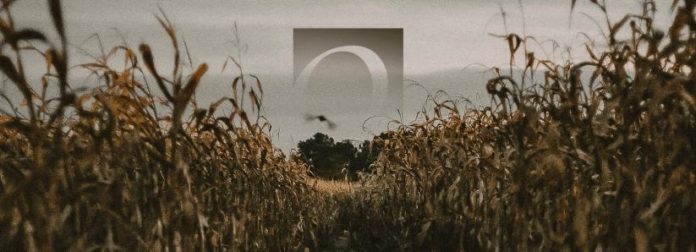 Overstock is Paying Ohio Taxes in Bitcoin