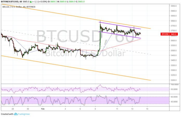 Bitcoin (BTC) Price Analysis: A Closer Look at the Bullish Flag Levels