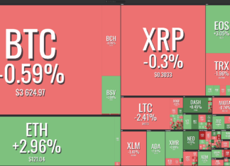 Bitcoin Holds Near $3,650 While the Stock Market Sees Minor Uptrend Market visualization from Coin360