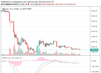 Bitcoin Volatility is Dying Fast; BTC Plunged 50% From $6,500 in Last Free Fall