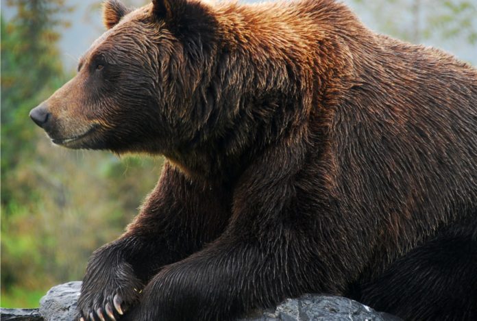 BTT Falls From Daily Gainers, Grin Sits Among Weekly Losers