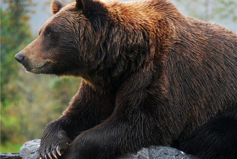 BTT Falls From Daily Gainers, Grin Sits Among Weekly Losers