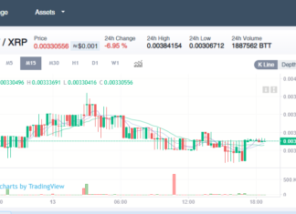 BTT/XRP on Bitrue Hits Headline, More XRP trading Pairs on DCEX Too BTT/XRP on Bitrue Hits Headline, More XRP trading Pairs on DCEX Too