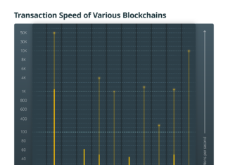 Transaction Speed of Various Blockchains