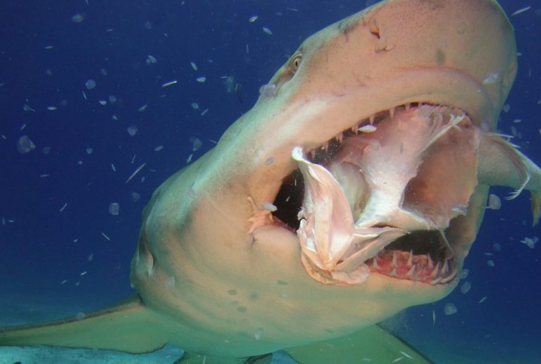 Kraken Acquires British Derivatives Platform Crypto Facilities