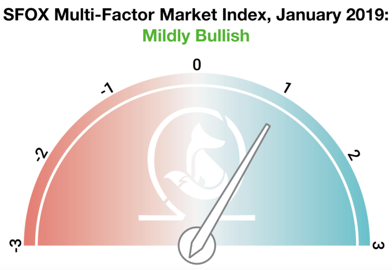 SFOX Crypto Volatility Report January 2019