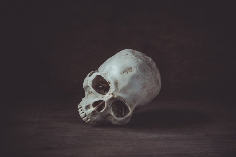 bitcoin skull dead crypto