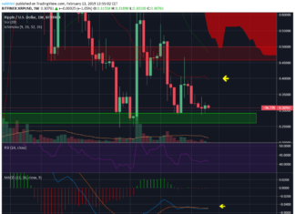 XRP Weekly 4