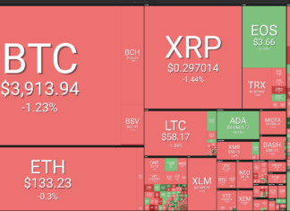 Market Visualization Courtesy of Coin360