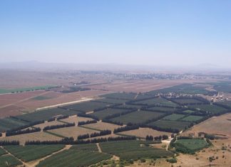 Trump Grants Amnesty to Illegal Immigrants in Golan Heights Under 'Israel's Sovereignty