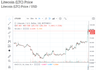 Billionaire Novogratz Slams Litecoin, Screams 'Buy Bitcoin'