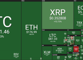 Bitcoin and Ethereum Show New Momentum After 20% Gain, Is a New Rally in the Works? Performance of crypto assets in the past month. Source: coin360.io