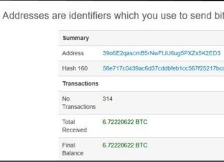 julian assange bitcoin wallet address screenshot