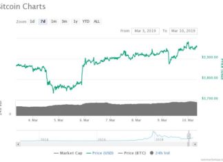 Bitcoin Matures Sensationally While Other Cryptos Fall, Soaring Above $5,600