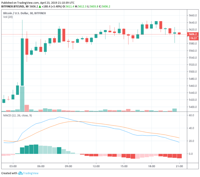 BTC and ADA Are Showing Positive Signs With Strong Bullruns and Weaker Corrections