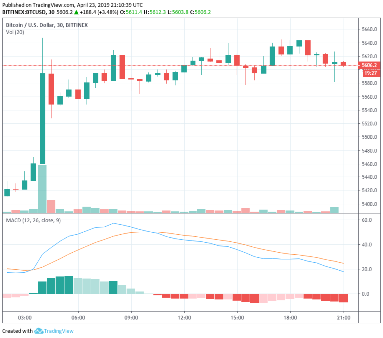 BTC and ADA Are Showing Positive Signs With Strong Bullruns and Weaker Corrections