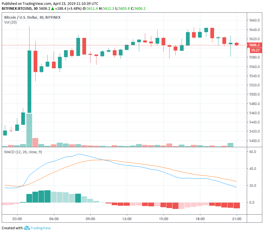 BTC and ADA Are Showing Positive Signs With Strong Bullruns and Weaker Corrections