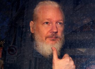 julian Assange, Wikileaks