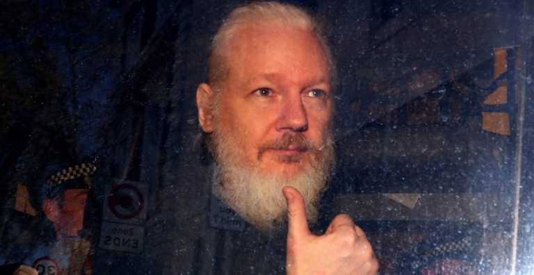 julian Assange, Wikileaks