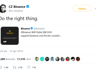 Our Binance Overlord’s Bitcoin SV Delisting is Frightening for Cryptocurrency