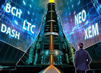 Top 5 Crypto Performers Overview: BCH, LTC, DASH, NEO, XEM